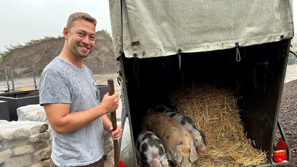 Münsterland Plus - Eigene Schweine