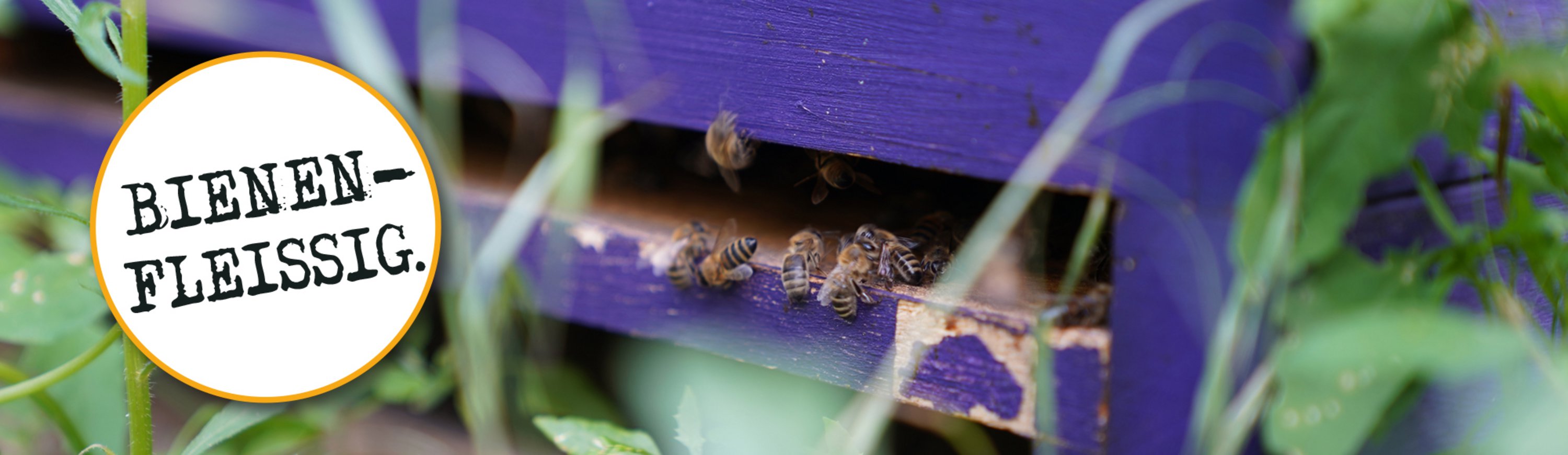 Bienenfleissig